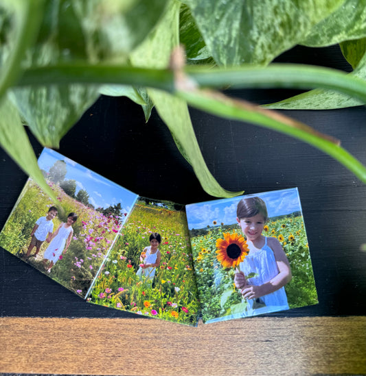 Set of 3